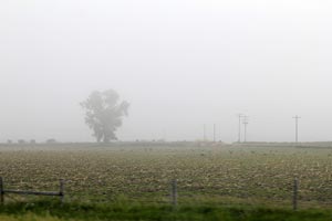 Photo of smoke-filled rural environment
