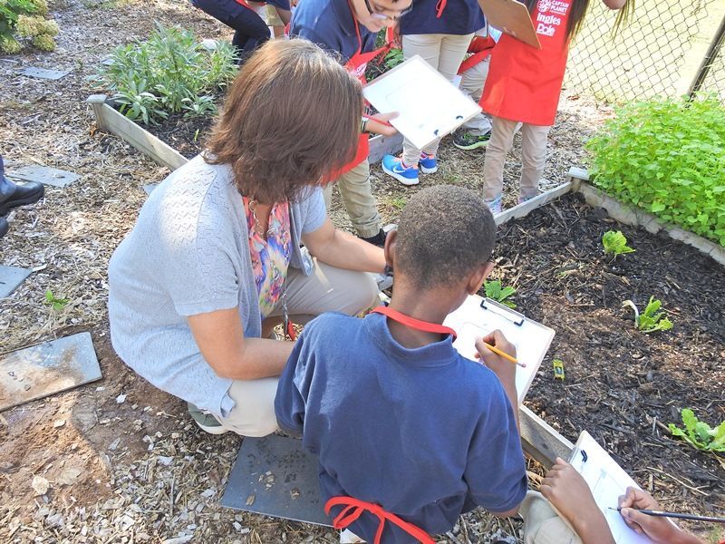 Cherrydale Elementary’s Project Learning Garden - Photo 2