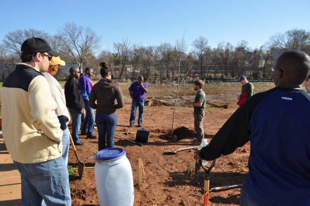 treesgreenvillegeenergyplanting1.jpg