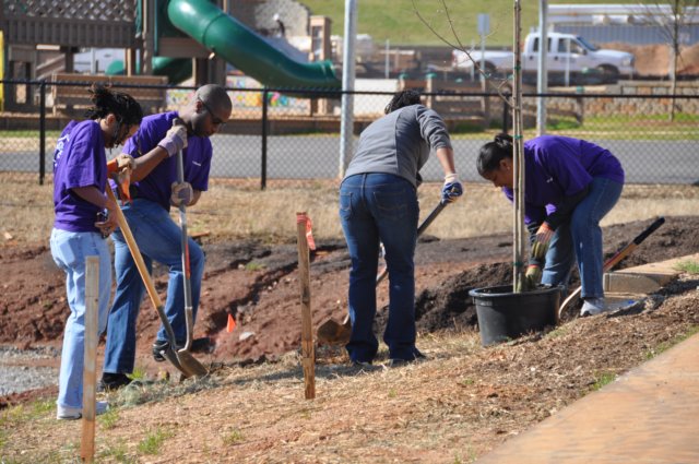 treesgreenvillegeenergyplanting11.jpg