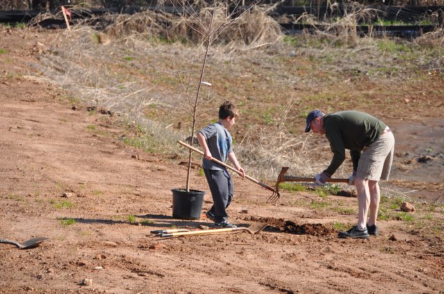 treesgreenvillegeenergyplanting4.jpg