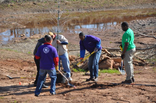 treesgreenvillegeenergyplanting8.jpg