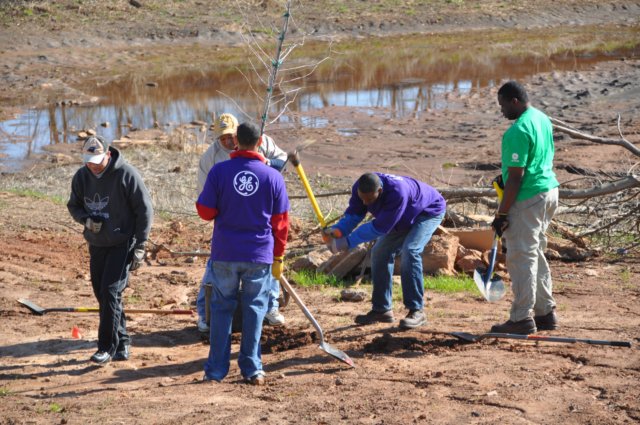 treesgreenvillegeenergyplanting9.jpg