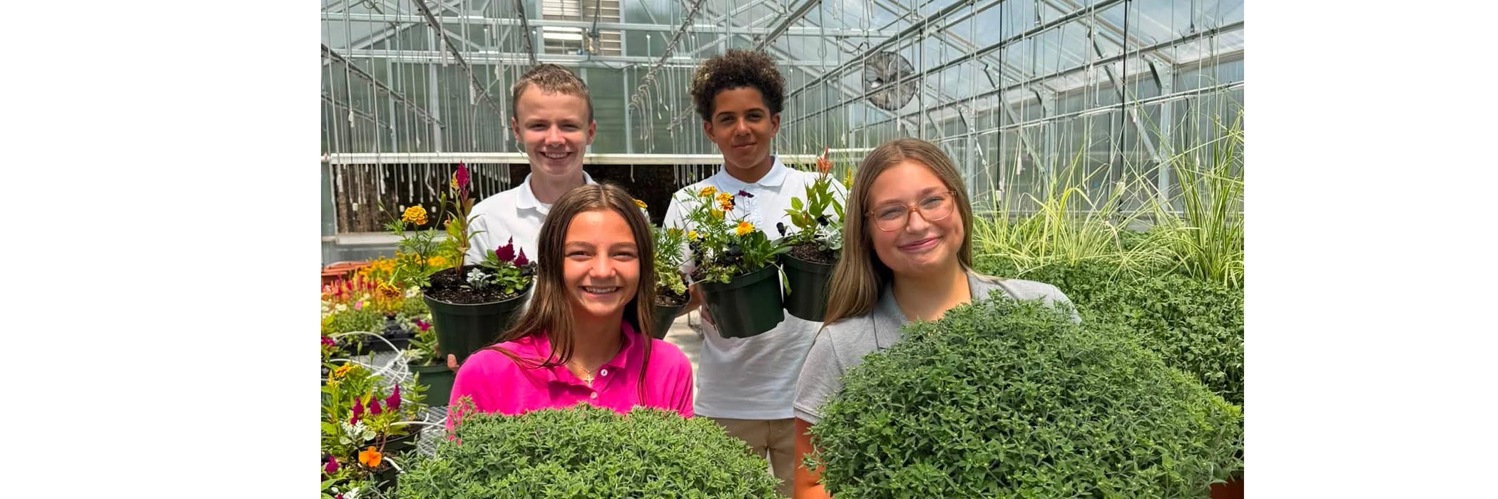 Plant Sale