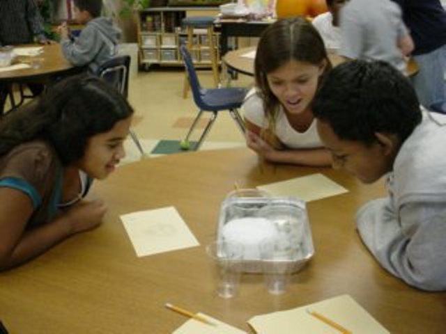 Sharing work and talking about science helps our students understand and learn.
