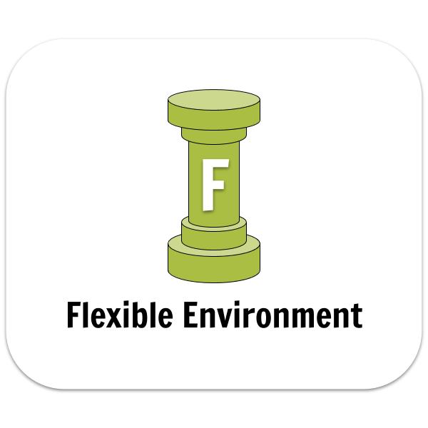 Flexible Environment