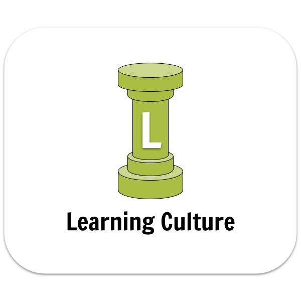 Learning Culture