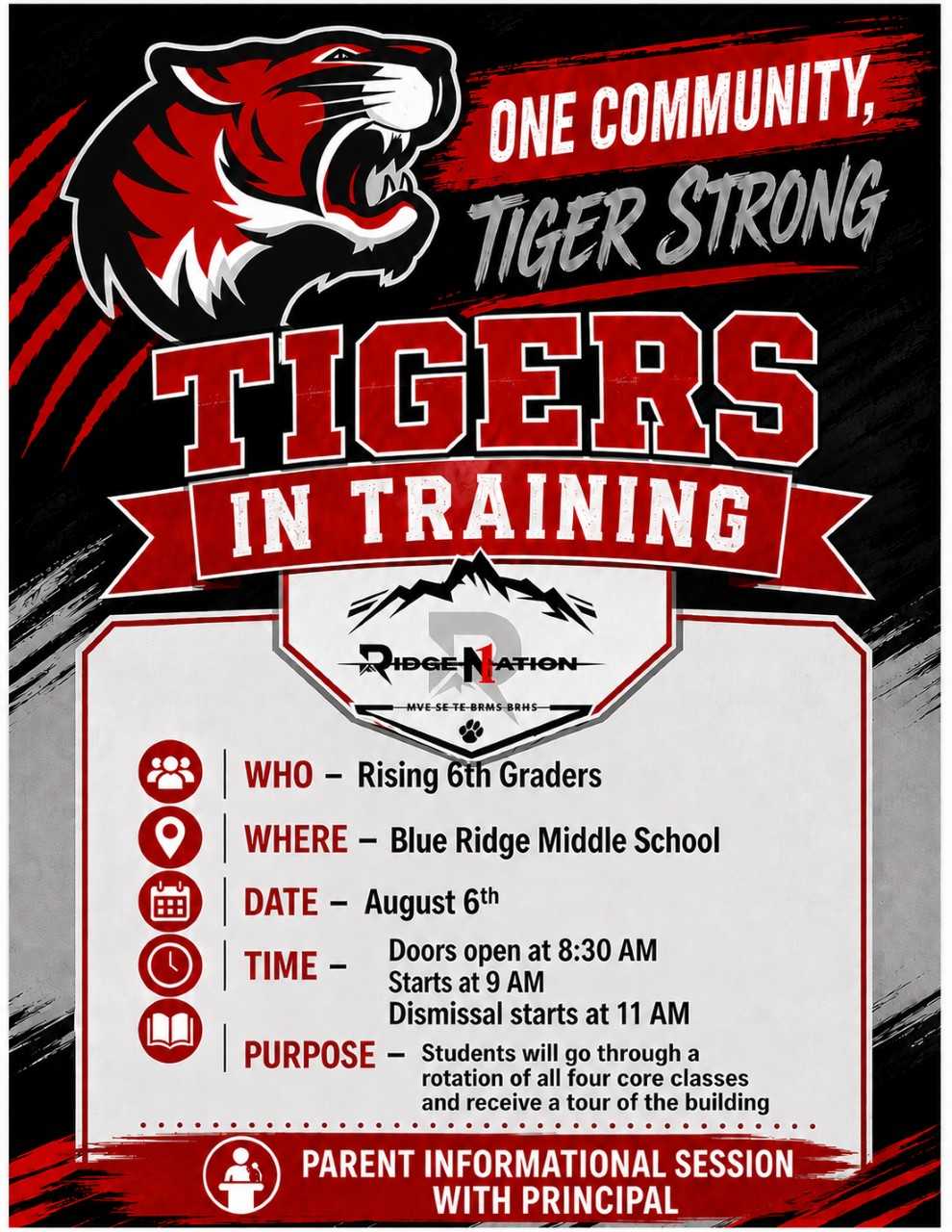 tigers in training
