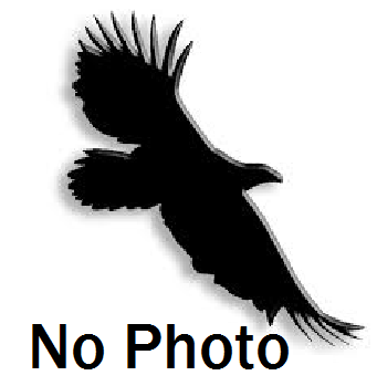 No Photo