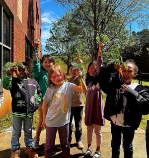 Sterling students holding freshly harvested carrots from the school garden